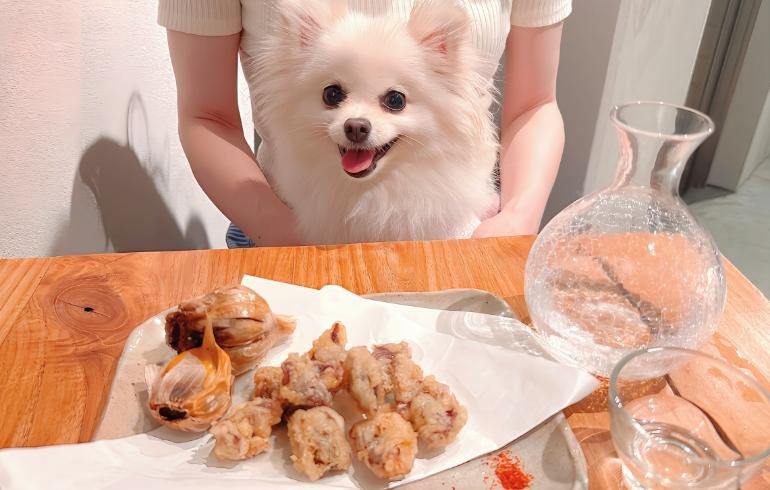 ココ かっちゃ(旧 津な軽食堂かっちゃ) の写真 9
