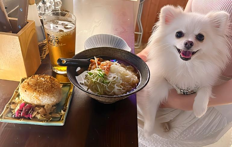 冷麺と焼きおにぎりとゆめちゃん