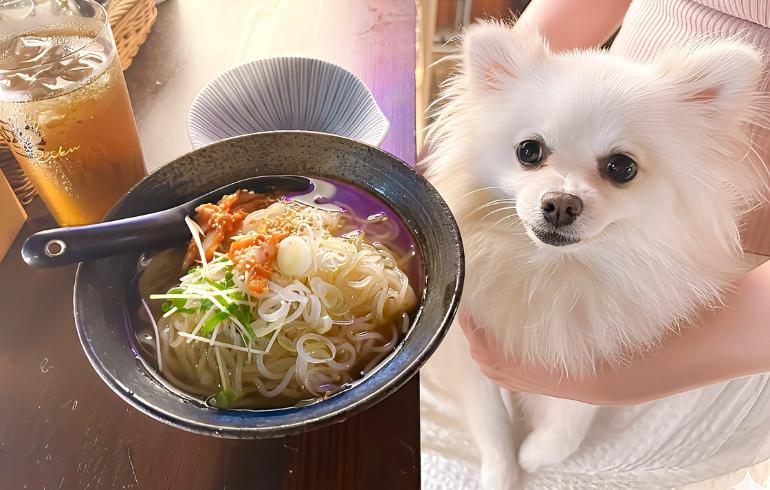冷麺とゆめちゃん