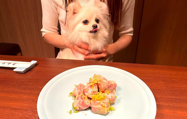 焼肉10
