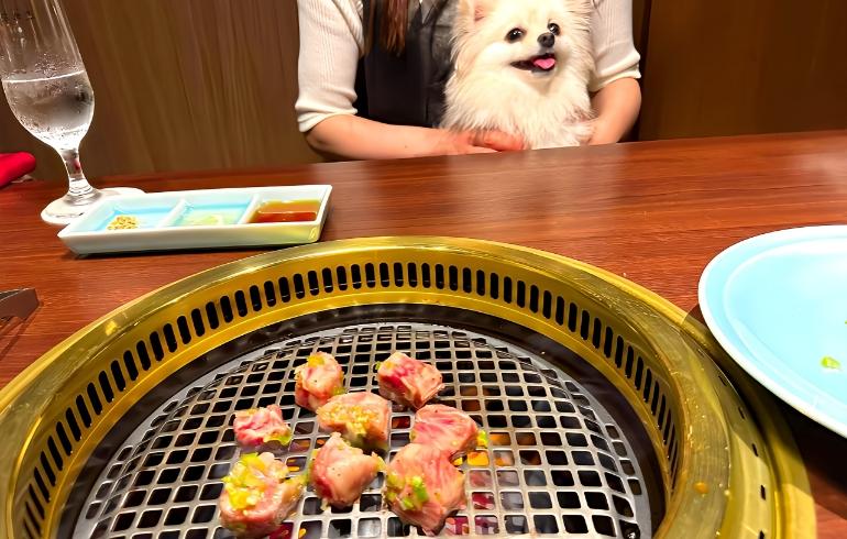 焼肉12