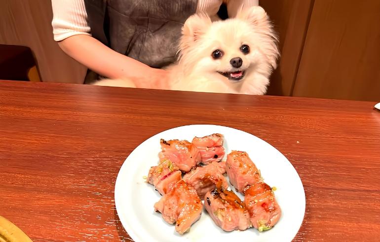 焼肉13