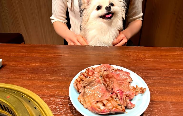 焼肉14