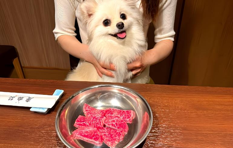 慶楽苑の写真（ワンちゃんサービス）4枚目