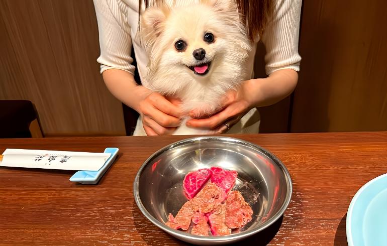 犬用のお肉2