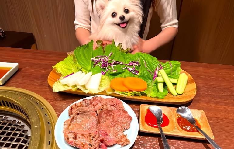健康まき