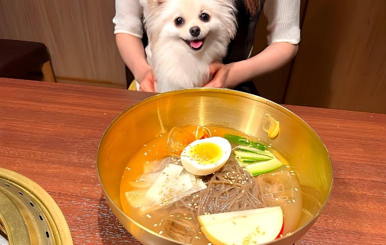 冷麺1