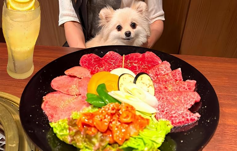 慶楽苑