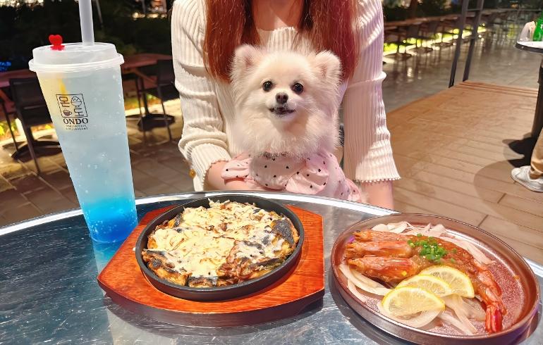 KOREAN CAFÉ ＆ RESTAURANT ONDO（コリアンカフェ アンド レストラン オンド） - 写真 2