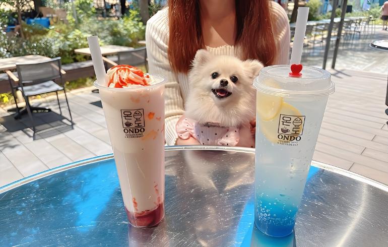 KOREAN CAFÉ ＆ RESTAURANT ONDO（コリアンカフェ アンド レストラン オンド）の写真（ドリンク）4枚目