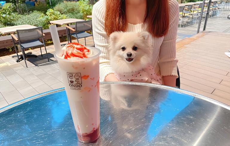 KOREAN CAFÉ ＆ RESTAURANT ONDO（コリアンカフェ アンド レストラン オンド）の写真（ドリンク）7枚目