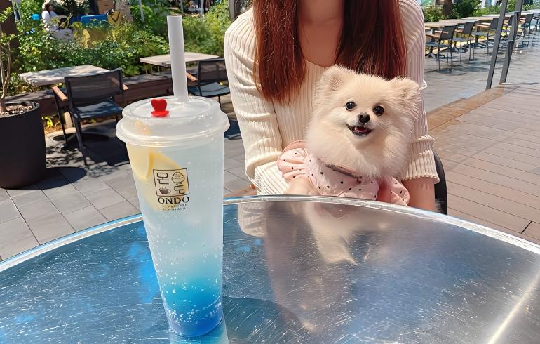 KOREAN CAFÉ ＆ RESTAURANT ONDO（コリアンカフェ アンド レストラン オンド） の写真 18
