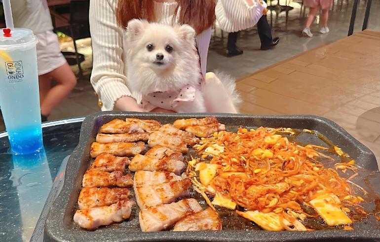 サムギョプサル（焼き後）とゆめちゃん