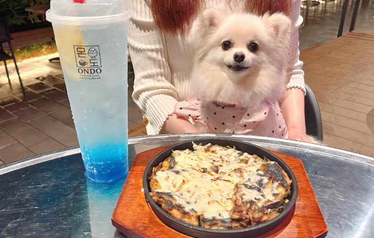 チーズチヂミとゆめちゃん