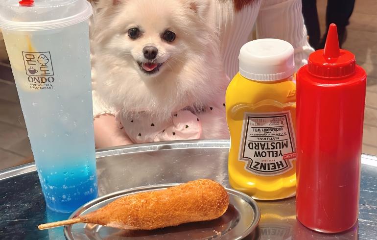 チーズハットグとゆめちゃん