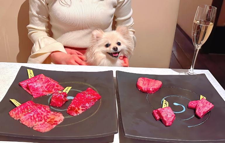 お肉1（牛肉）