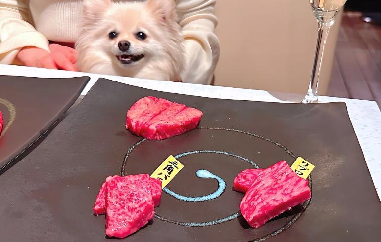 お肉2（牛肉）