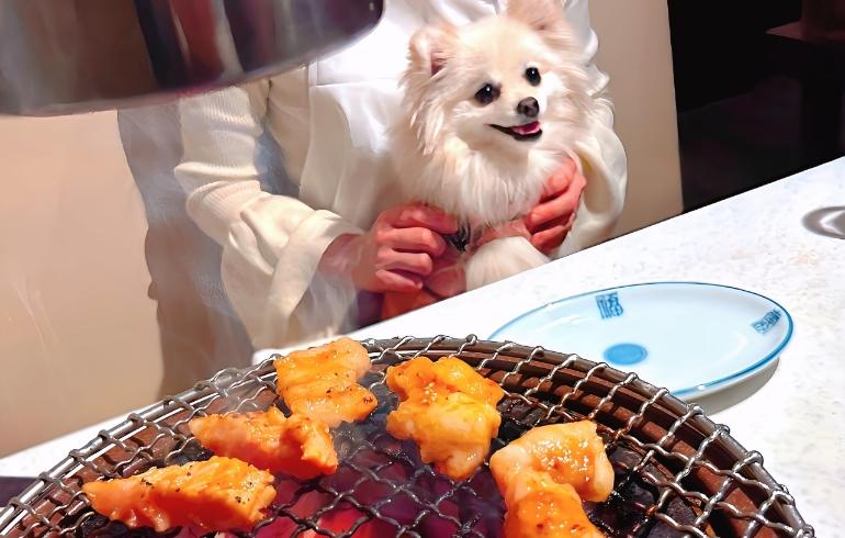 ホルモン炭焼き1