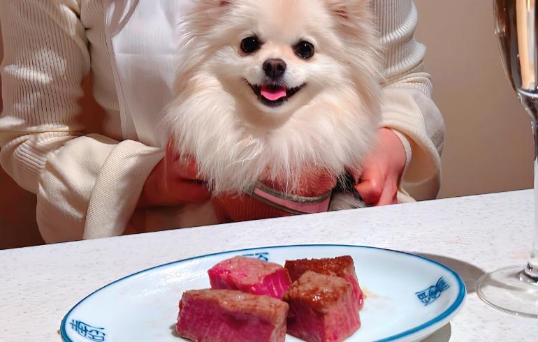 シャトーブリアン（焼き）