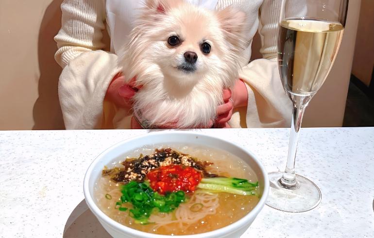 冷麺