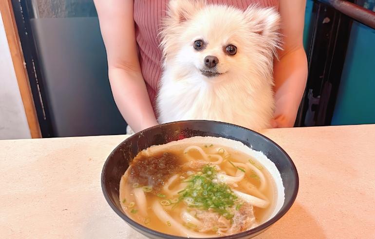 かすうどん かすうどん