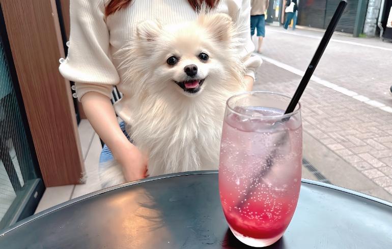 果実コラーゲンサワーとゆめちゃん(笑顔) 果実コラーゲンサワーとゆめちゃん(笑顔)