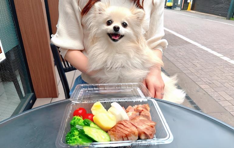 ワンちゃん用のごはん ワンちゃん用のごはん