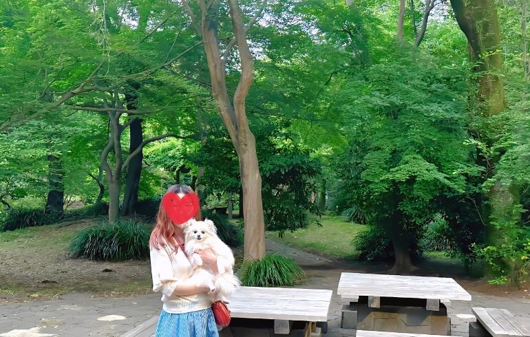 自然豊かな公園3 自然豊かな公園3