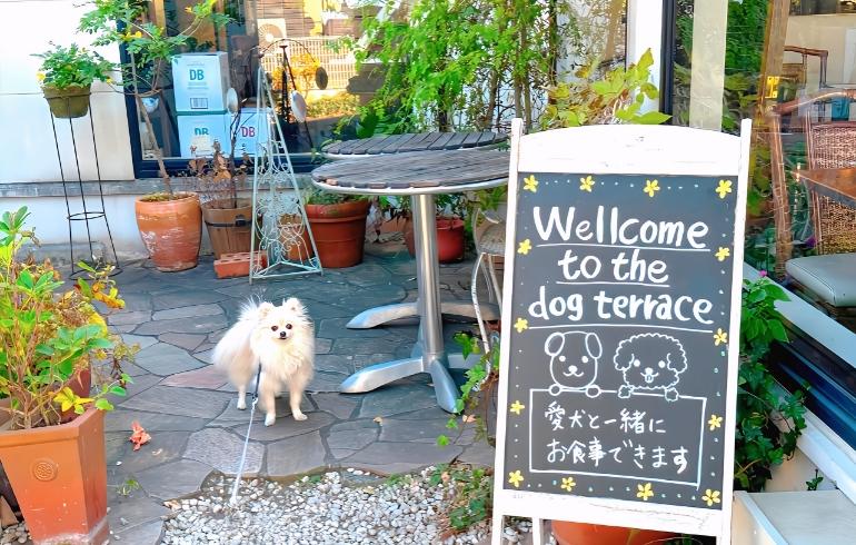 外観1 外観1