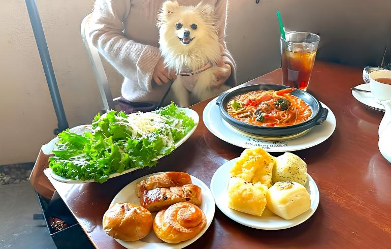 料理セット 料理セット