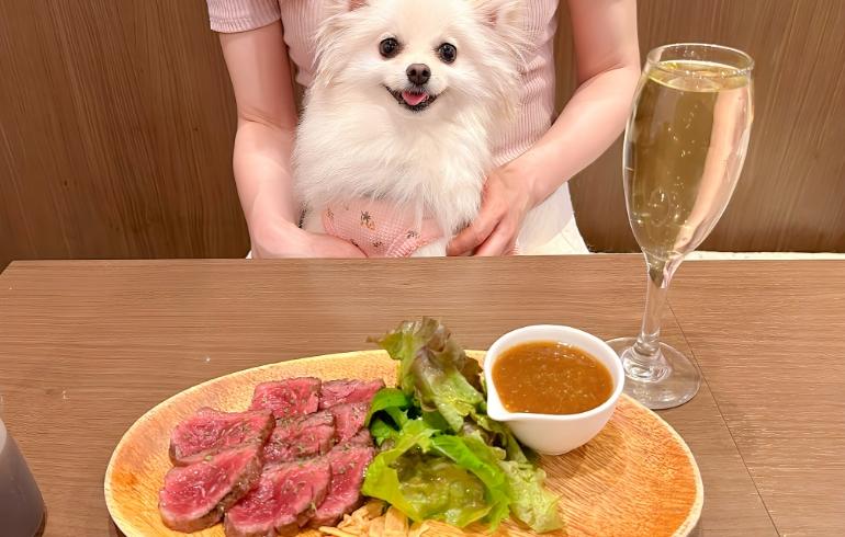 ブラックアンガス牛ハラミステーキ ブラックアンガス牛ハラミステーキ