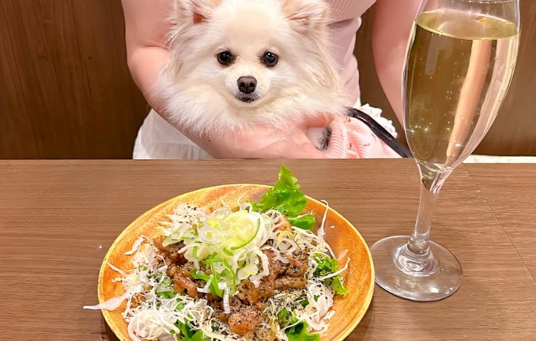 せせり柚子胡椒ポン酢 せせり柚子胡椒ポン酢