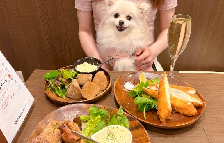 揚げ物各種とゆめちゃん 揚げ物各種とゆめちゃん