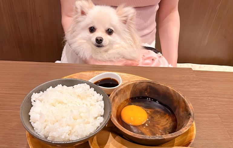厳選たまごかけごはん 厳選たまごかけごはん