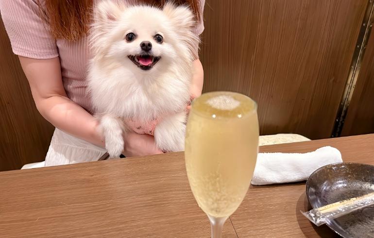 山盛りスパークリングワイン 山盛りスパークリングワイン