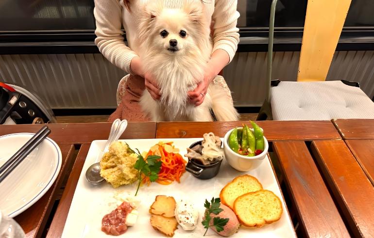 MEAT BAR GIRASOL（ミート バル ヒラソル） - 写真 5