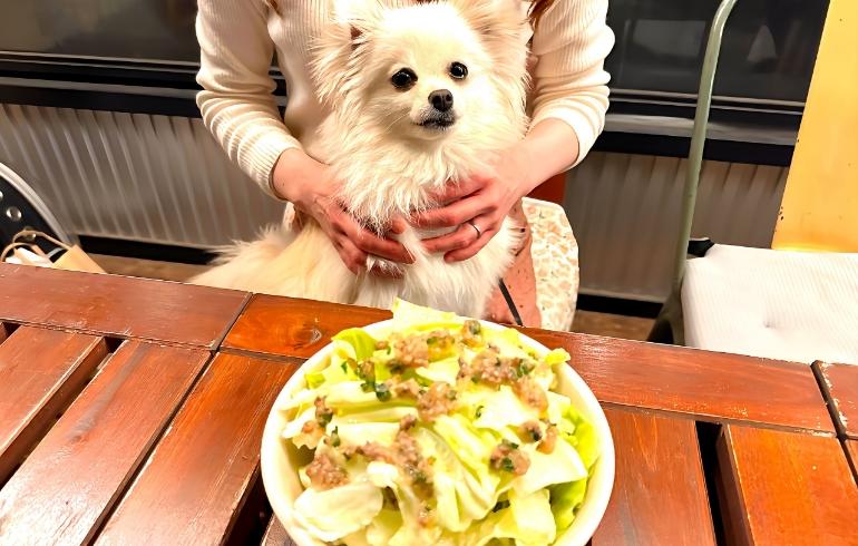 MEAT BAR GIRASOL（ミート バル ヒラソル）の写真（料理）7枚目