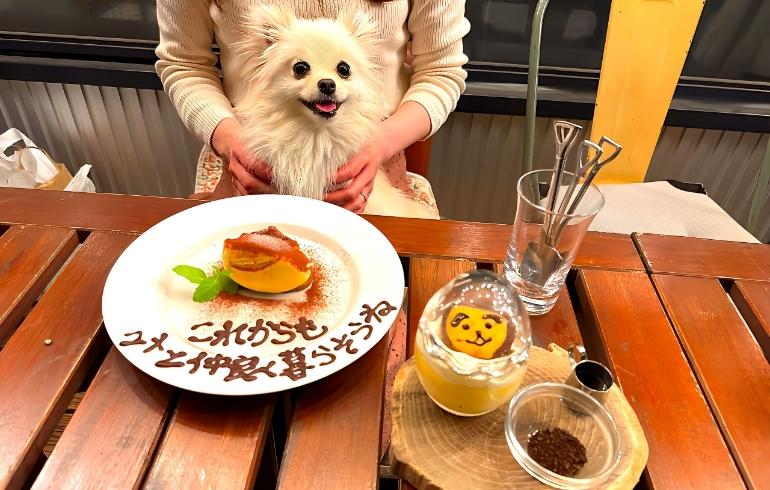 MEAT BAR GIRASOL（ミート バル ヒラソル） の写真 5