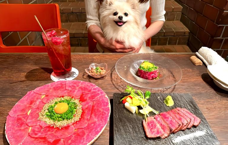料理4種とドリンク 料理4種とドリンク