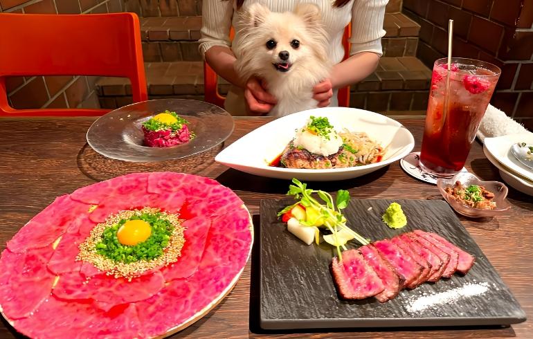肉バル SHOUTAIAN 渋谷店