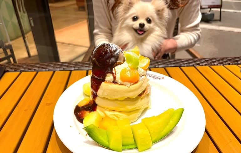 「Merengue（メレンゲ）みなとみらい店」のメイン画像です。