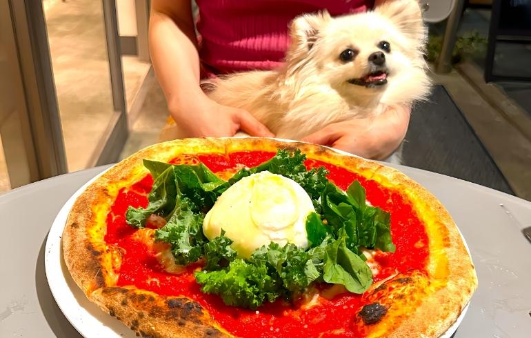 Nature/Pizza TOSCANA 学芸大学 「Nature/Pizza TOSCANA 学芸大学」のメイン画像です。