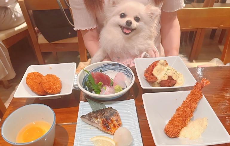 トッピング各種とゆめちゃん