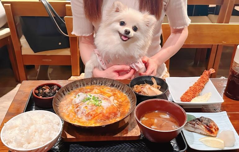 トッピング各種と定食とゆめちゃん