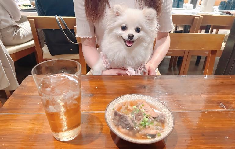 あら炊きとゆめちゃん
