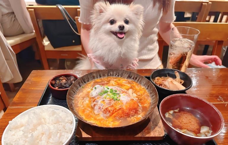 「おこめとおかず」のメイン画像です。