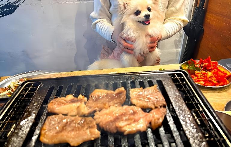 はみでるカルビ5 はみでるカルビ5