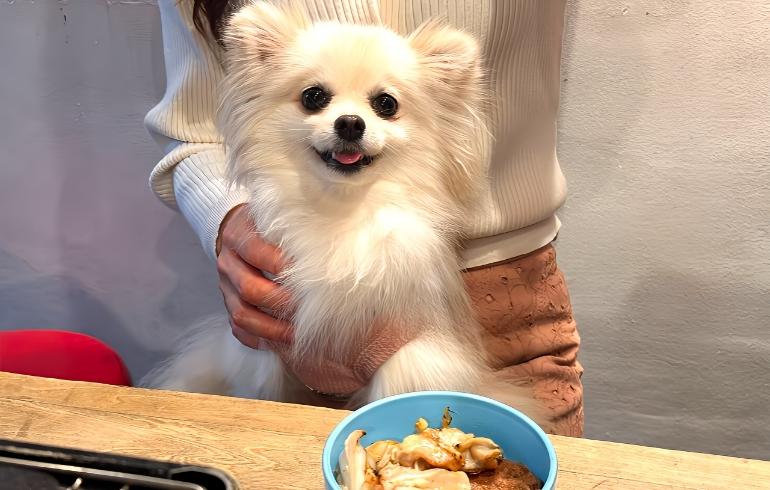 ワンちゃん用焼肉1 ワンちゃん用焼肉1