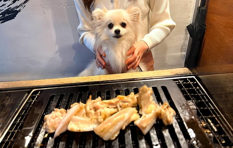 ワンちゃん用焼肉3 ワンちゃん用焼肉3
