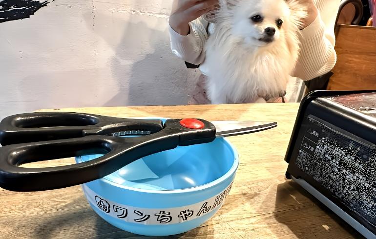 ワンちゃん用カットはさみ ワンちゃん用カットはさみ
